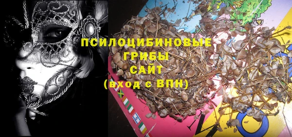 стаф Белокуриха