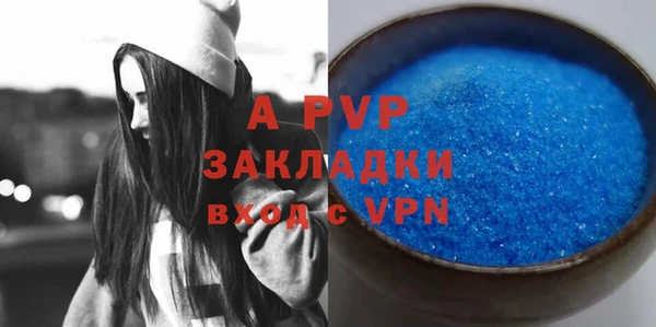 стаф Белокуриха