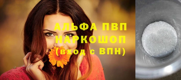 стаф Белокуриха