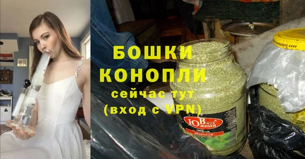 стаф Белокуриха