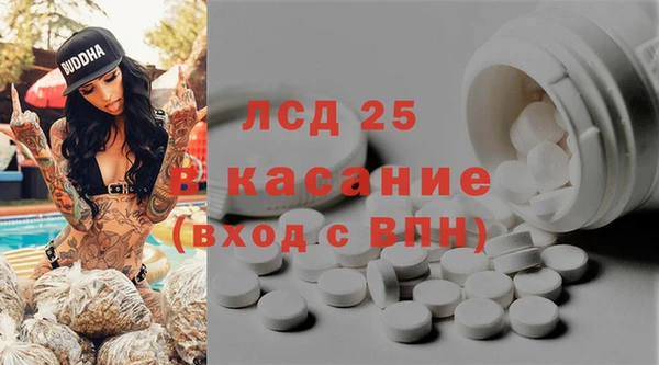 стаф Белокуриха
