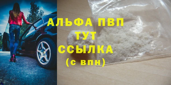 стаф Белокуриха