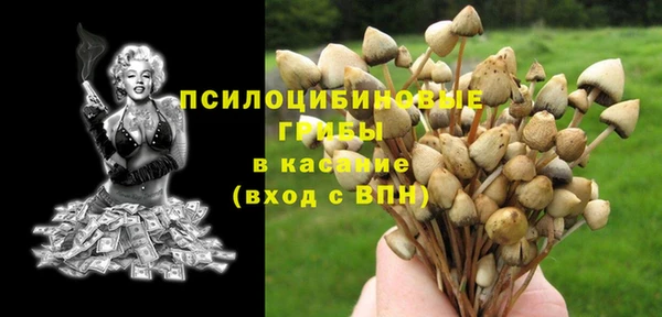 бошки Белоозёрский