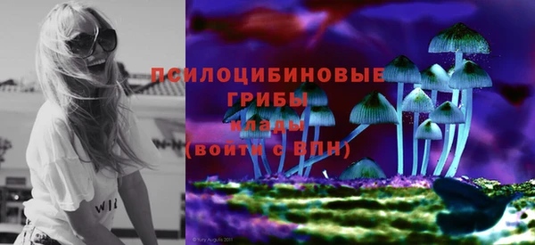 стаф Белокуриха